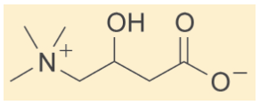 L-Carnitine-Chemical-Structure