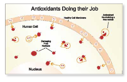 antioxidants doing their jobs